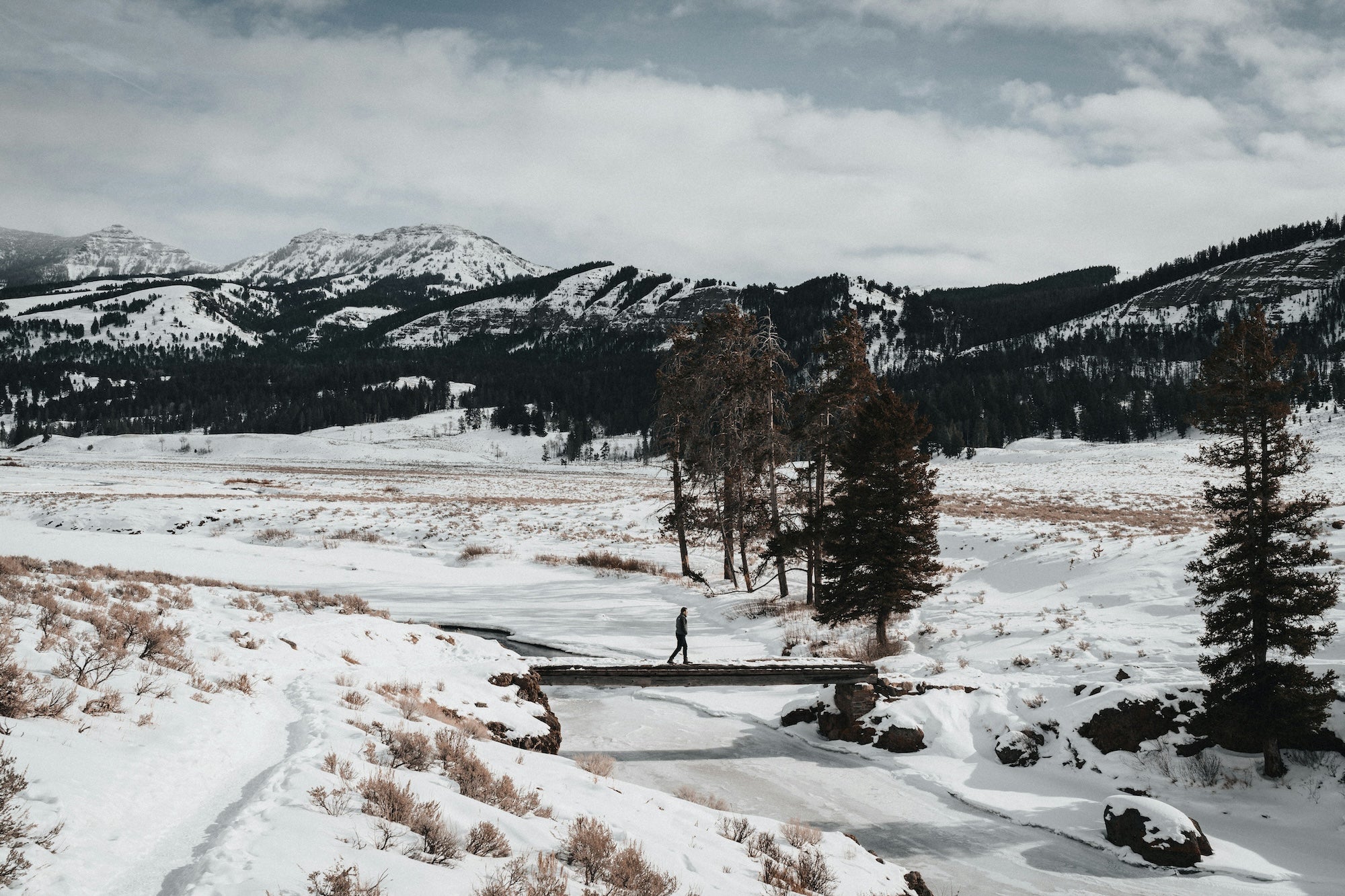 5 of The Best National Parks to Visit in Winter