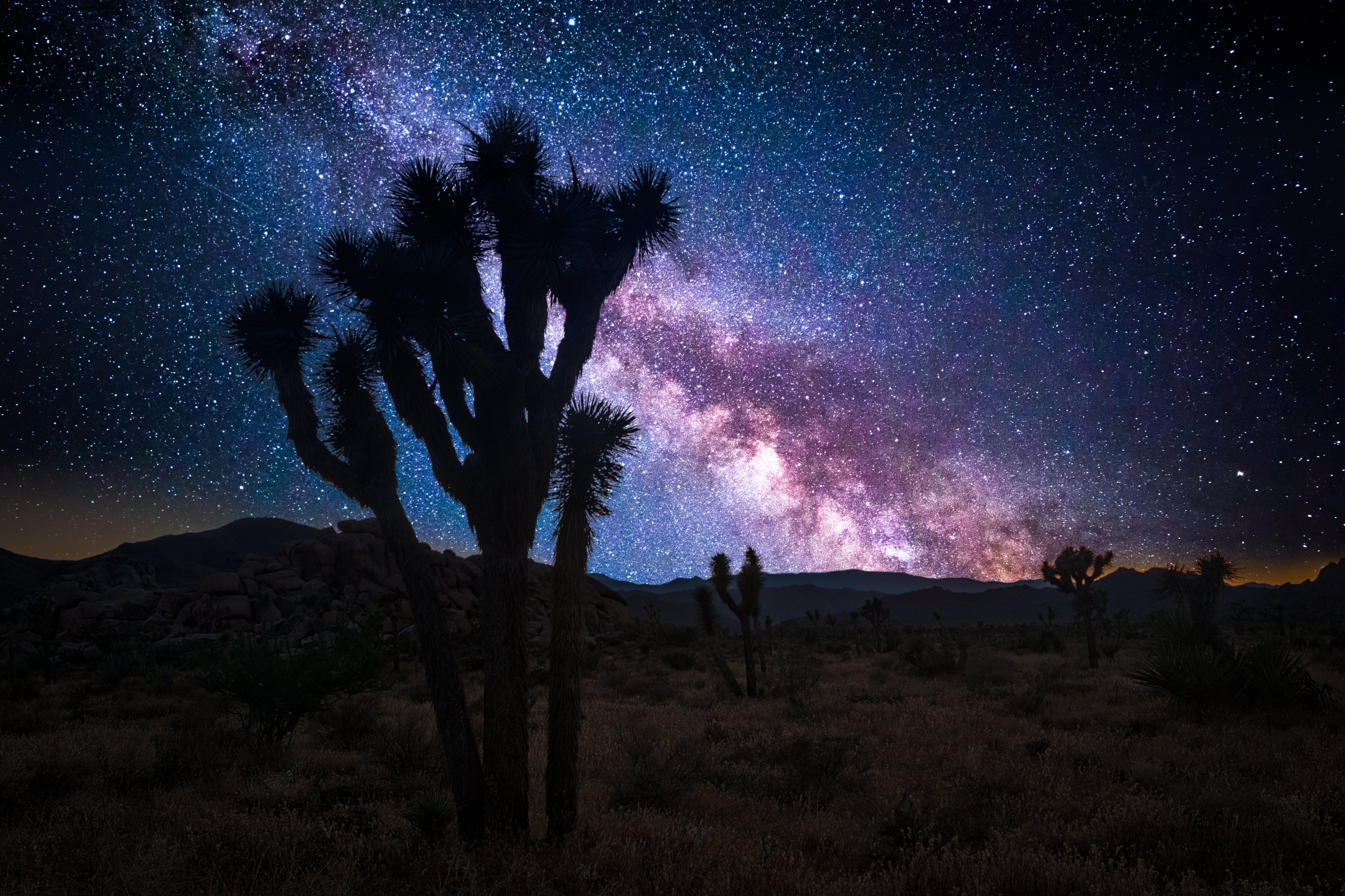 joshua tree stargazing landscape