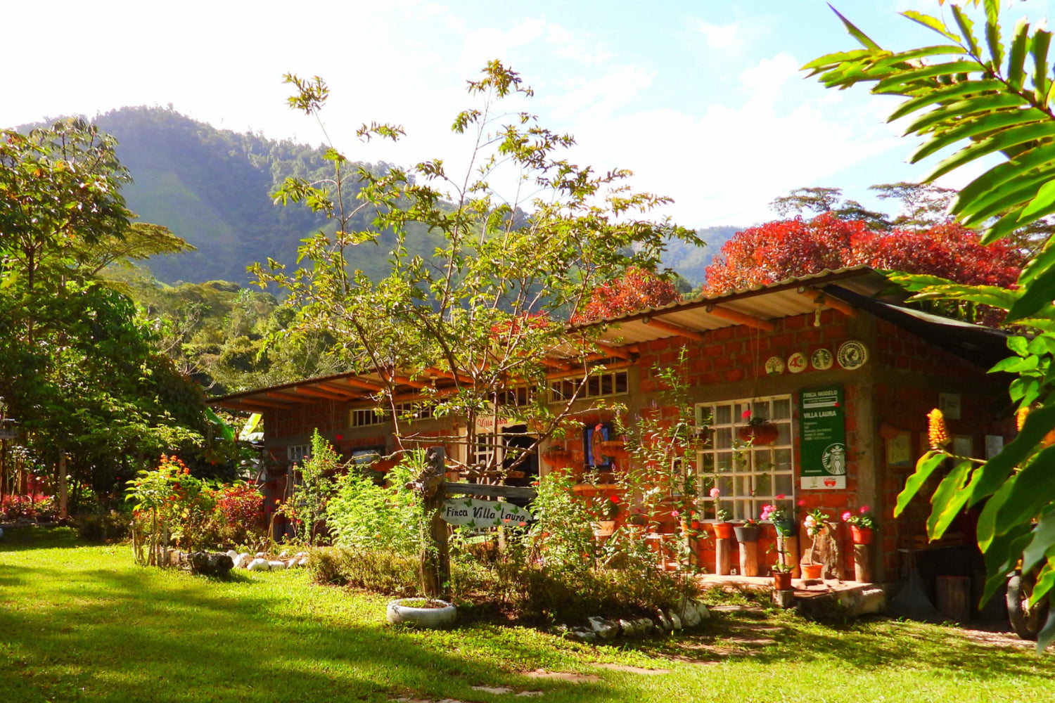 eco lodge casita with bougainvillea and mountain view