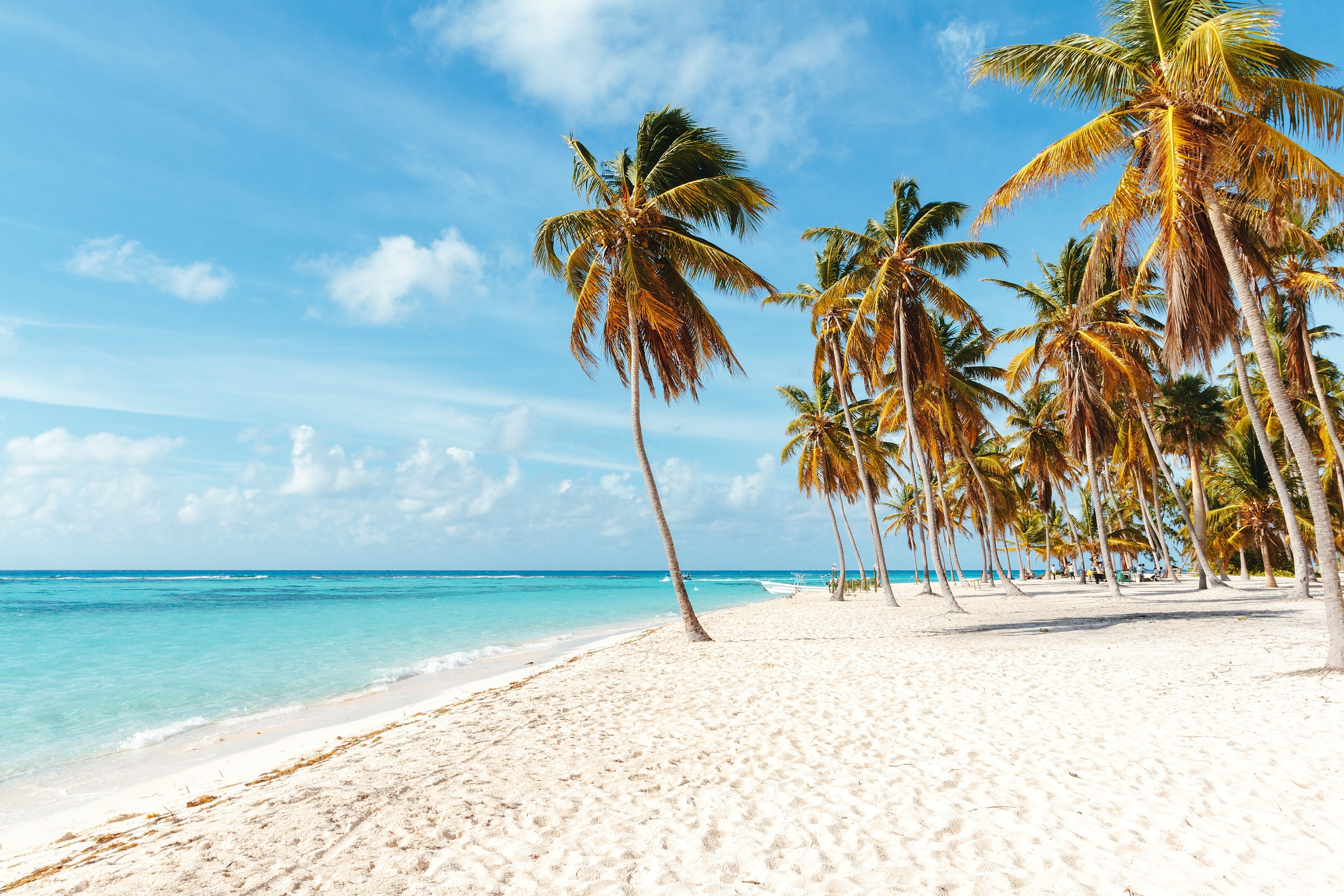 best caribbean islands palm trees white sand beach