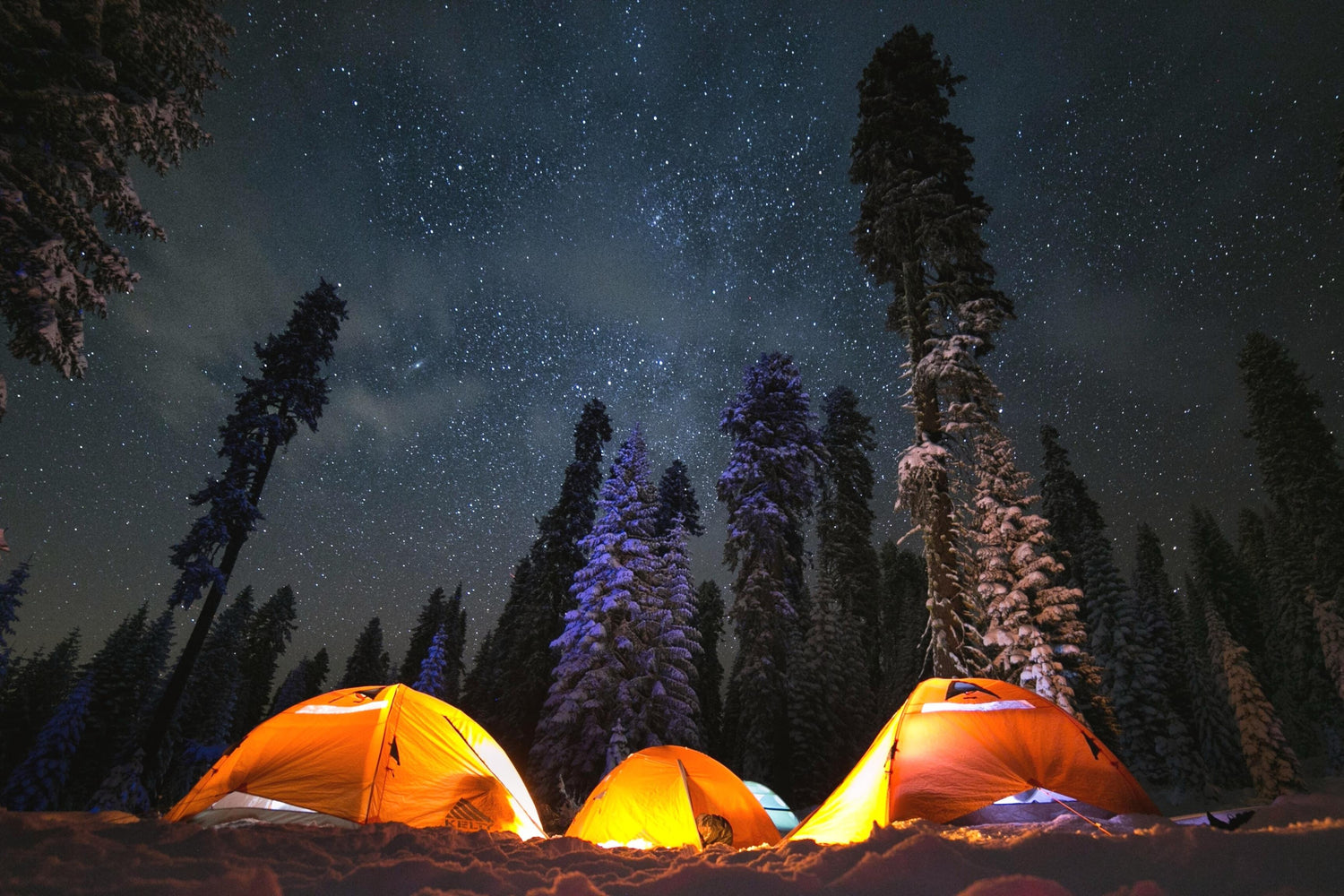 These Tent Ropes That Glow In The Dark Will Prevent Tripping Over Them At  Night