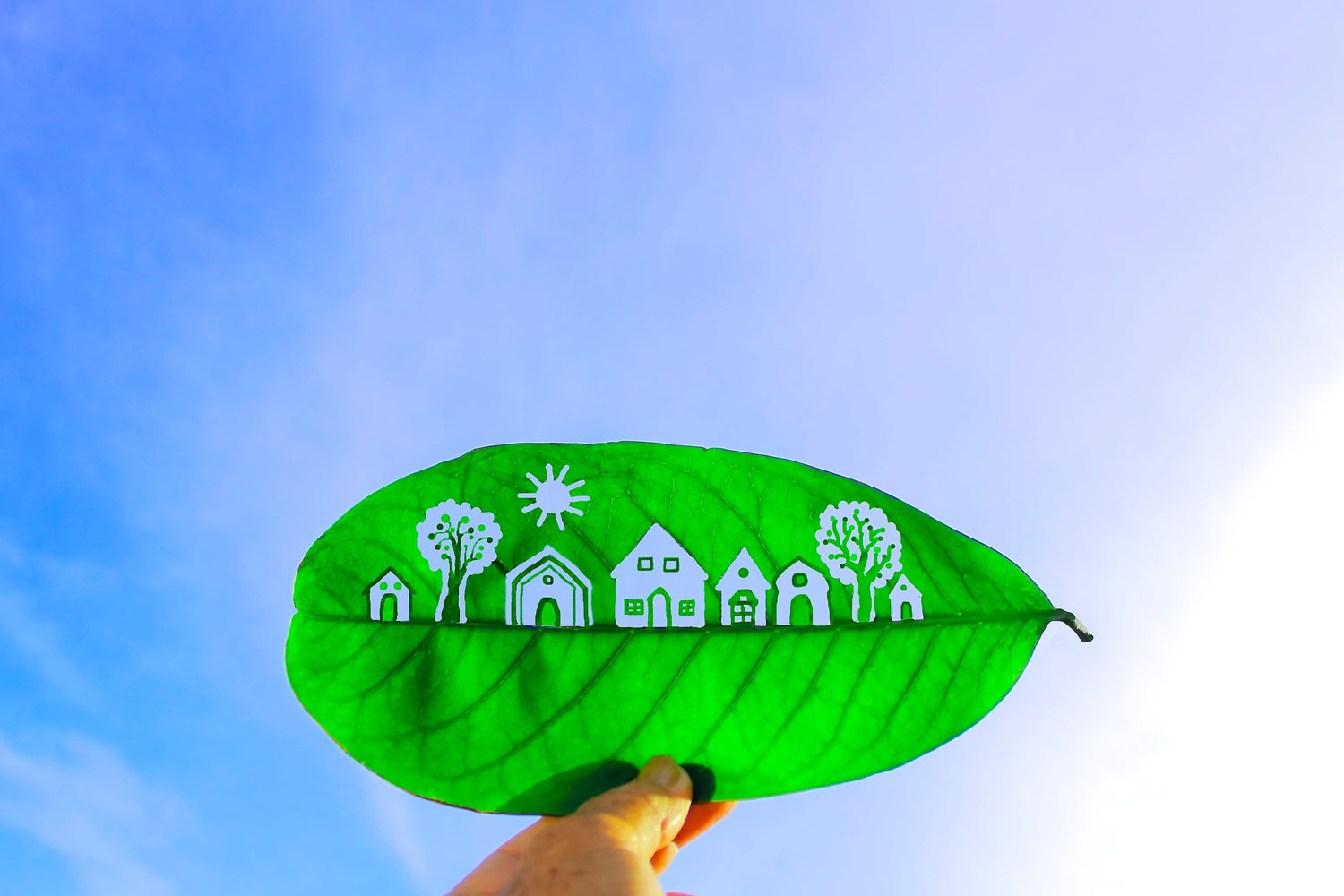 greenest US cities fingers holding green leaf