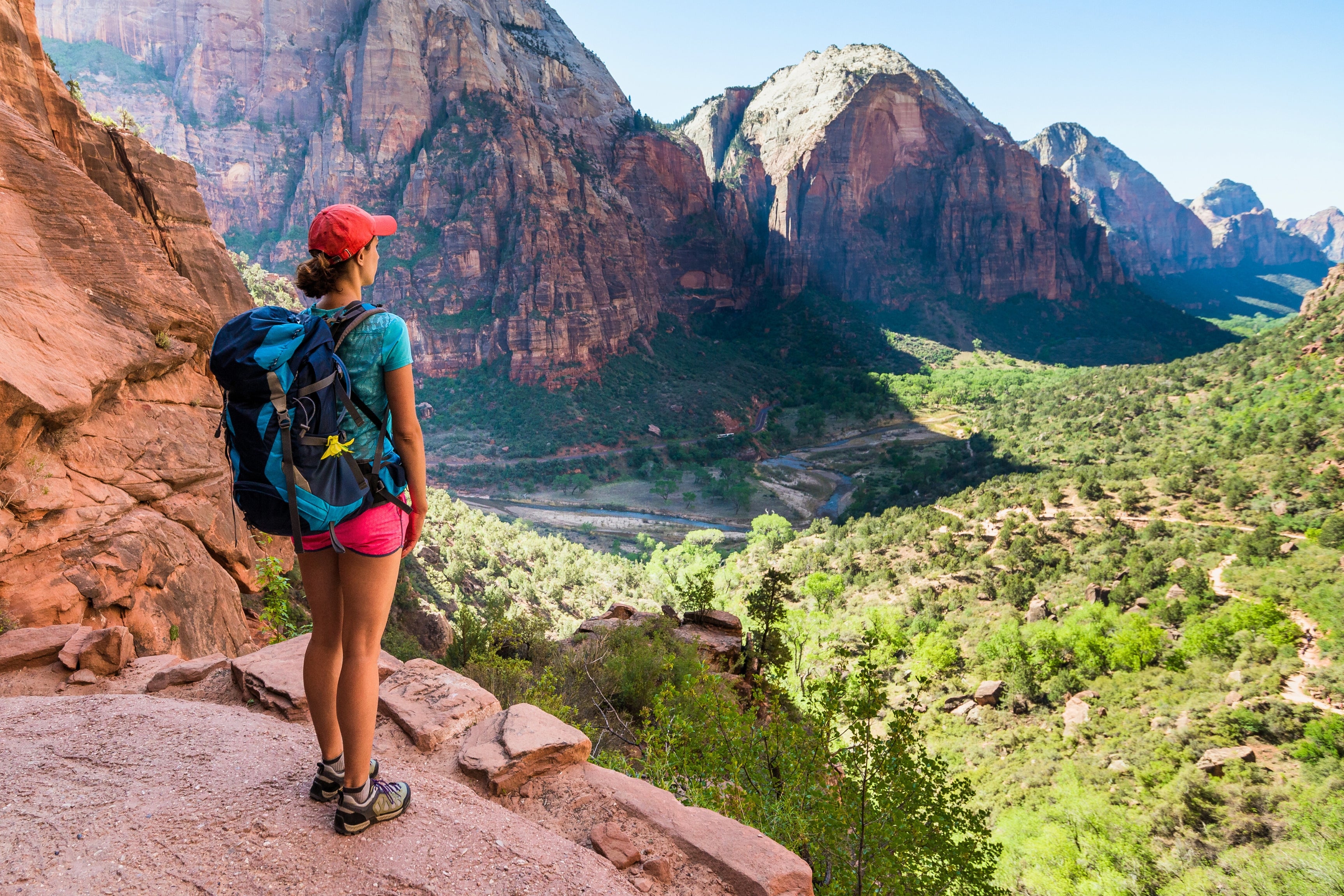 hiker overlooking sandstone canyon and greenery at Zion