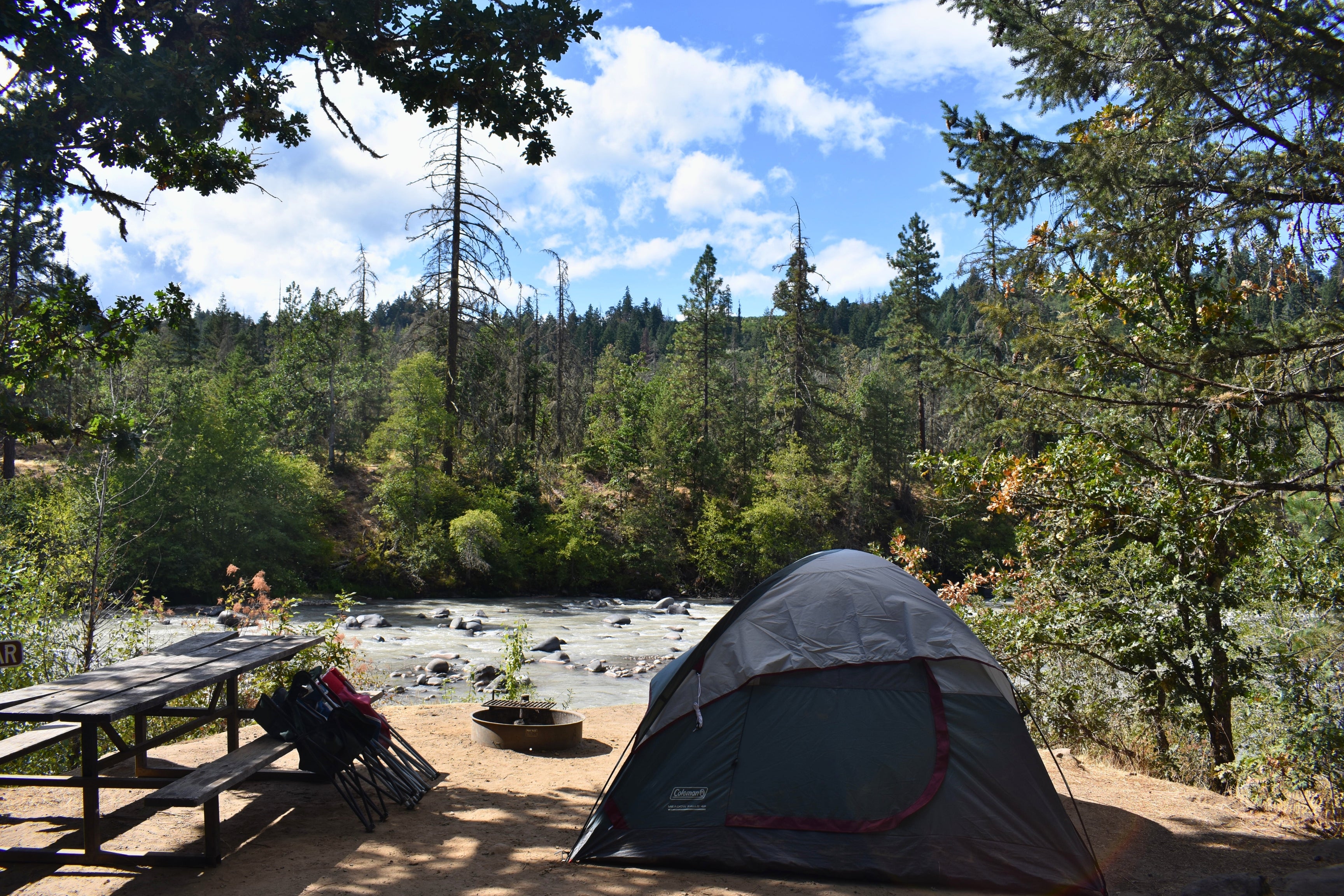 portland camping black tent river pine forest